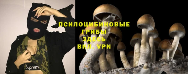 крисы Балахна