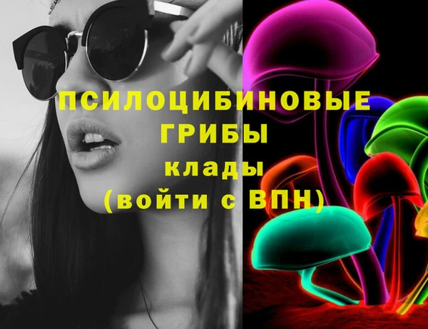 сатива Баксан