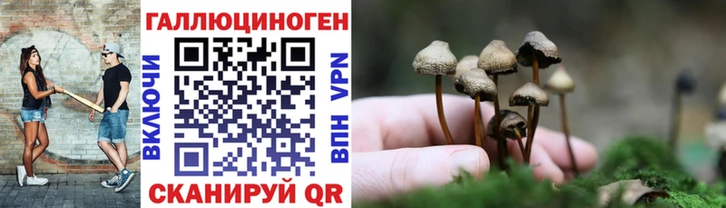 Галлюциногенные грибы MAGIC MUSHROOMS  что такое   кракен ссылки  Красноуфимск 